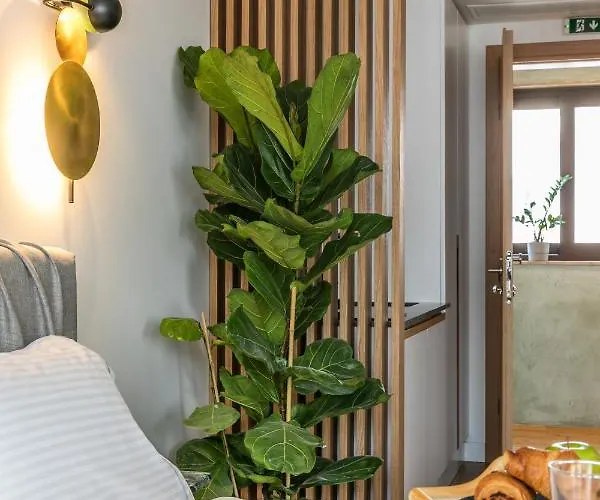 Septa By Skg 公寓 塞萨洛尼基